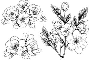 Vintage Floral Hand-Drawn Line Art with Hibiscus and Rose Elements. vector