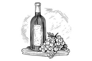 Vintage Vineyard Elegance Hand-Drawn Wine Illustration with Grapevine Sketch. vector