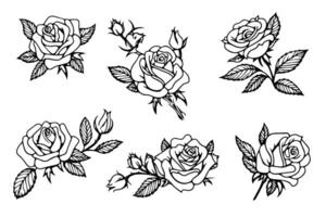 Roses pattern. Vintage simple line art. Hand drawn ink sketch. Engraving illustration. vector