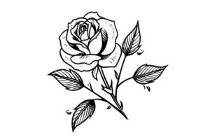Clásico xilografía Rosa grabado floral tatuaje línea Arte impresión ilustración. vector