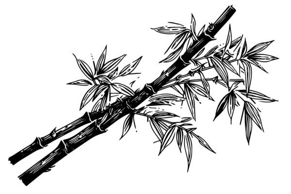 Hand drawn ink sketch of bamboo leaves and branches.