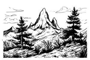 Hand drawn ink sketch of mountain with pine trees landscape. Engraved style logotype illustration. vector