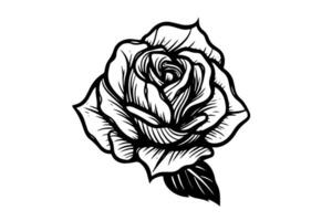 Vintage Woodcut Rose Engraved Floral Illustration with Boho Charm. vector