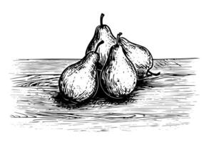 Pear on a desk hand drawn ink sketch. Engraved style illustration. vector