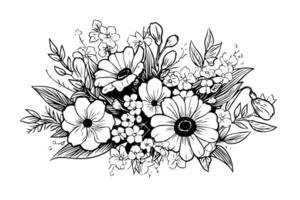 Hand drawn ink sketch of meadow wild flower composition. Engraved style illustration. vector