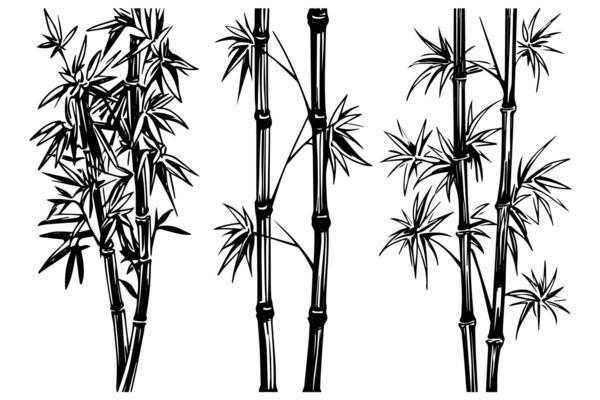 Hand drawn ink sketch of bamboo leaves and branches.