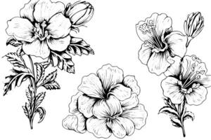 Vintage Floral Hand-Drawn Line Art with Hibiscus and Rose Elements. vector