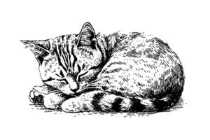 Cute sleeping cat portrait hand drawn ink sketch engraving vintage style. illustration. vector