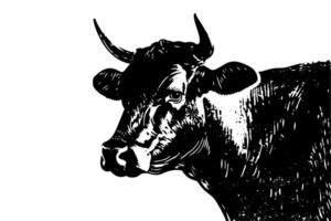 Clásico bosquejo de un de vaca cabeza dibujado a mano ilustración de lechería granja animal. vector
