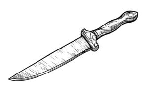 Vintage Dagger or Sword Hand-Drawn Illustration in Medieval Engraved Style. vector