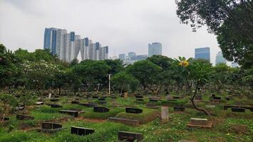 Situation of a public cemetery that looks green and shady located in the city center photo