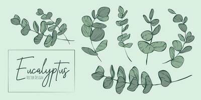 Set of botanical elegant line illustrations of eucalyptus leaves branch for wedding invitation and cards, logo design, web, social media and poster, template, advertisement, beauty and cosmetic indust vector