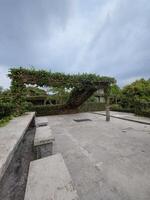 view on a roof overgrown with vines with a cloudy sky photo