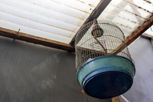 an empty birdcage hanging above with no birds photo