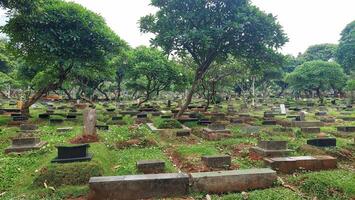 Situation of a public cemetery that looks green and shady located in the city center photo
