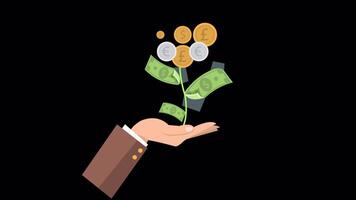 Money Flower Coming Out Of Your Hand On Alpha Channel 2D Cartoon Animation video