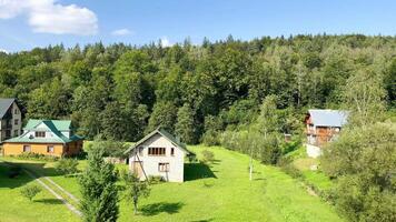 Panorama of houses in the middle of a forest clearing video