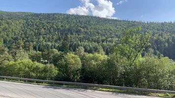 autostrada vicino grande montagna pino foreste video