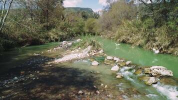 eend Aan berg stroom oppervlak, markeren eend, rivier, eend in natuurlijk leefgebied, eend, rivier- kalmte. vangt sereen dieren in het wild tafereel video