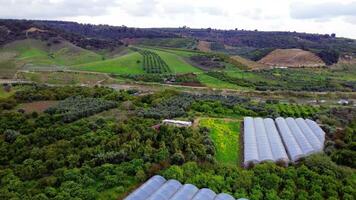 Drone view of mountain valley fields, orchards. Showcases agriculture, sustainable agriculture practices, agriculture biodiversity. Focuses on ecological agriculture video