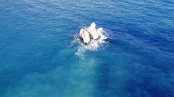 fuco cattura solitario scogliera in mezzo tranquillo mare onde, evidenziazione sereno interazione fra onda e solitario scogliera impostato contro chiaro blu fondale sottolineando tranquillo, calmo solitudine di solitario scogliera video