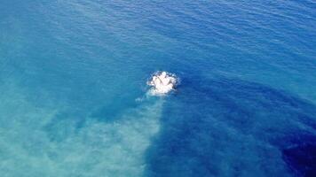 fuco metraggio lento padella al di sopra di grande roccia, mare onde carezza. mare, roccia nel chiaro, tranquillo mare. mare, roccia centrale, circondato di blu. mare, roccia lavato di dolce onde. video