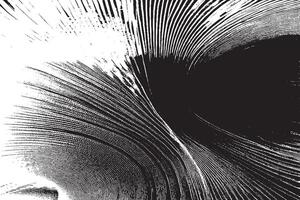 monocromo resumen negro grunge textura en blanco fondo, imagen para antecedentes textura vector