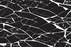 Timeless Black and White Marble Texture, Refined Monochromatic Marble Texture Design vector