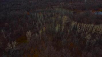 autunno arazzo aereo visualizzazioni di Russia natura fuco metraggio al di sopra di volga fiume, foresta, e montagne. Russia, samara regione video