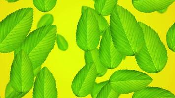 Animated leaf pattern background on yellow background. Beautiful autumn. 4k templates video