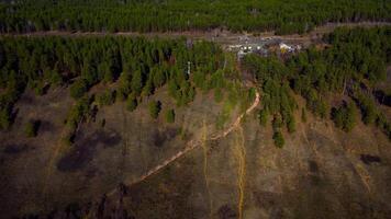 otoño tapiz aéreo puntos de vista de Rusia naturaleza zumbido imágenes terminado volga río, bosque, y montañas. Rusia, samara región video