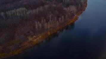 otoño tapiz aéreo puntos de vista de Rusia naturaleza zumbido imágenes terminado volga río, bosque, y montañas. Rusia, samara región video