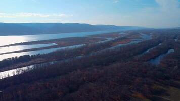 otoño tapiz aéreo puntos de vista de Rusia naturaleza zumbido imágenes terminado volga río, bosque, y montañas. Rusia, samara región video