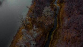 Autumn Overlook Aerial Views of Volga River, Forest, and the Grushinsky Festival Meadow in Warm Glow. Nature of Russia view from a drone in autumn video