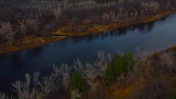 outono negligenciar aéreo Visualizações do Volga rio, floresta, e a Grushinsky festival Prado dentro caloroso brilho. natureza do Rússia Visão a partir de uma zangão dentro outono video