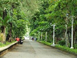 Surakarta, April 11 2024, quiet streets with lush trees and other public facilities around Manahan Stadium. photo