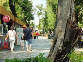 Surakarta, April 11 2024, quiet streets with lush trees and other public facilities around Manahan Stadium. photo