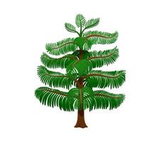 Cartoon rainforest tree evergreen tropical plant vector