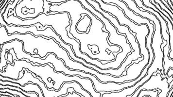 loop animation black and white drawing of a tree video