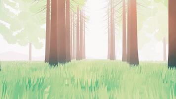 animation loop, forest with trees and green grass, cartoon style video