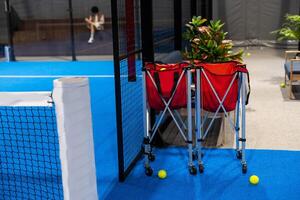 paddle tennis racket and balls on court, photo