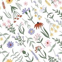 Seamless pattern with hand drawn wild flowers on white background vector