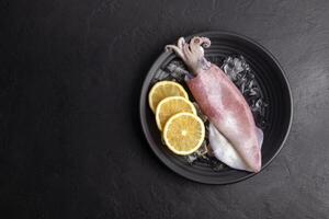 Fresh raw squid. Raw squid on a black plate with ice. Lemon slices. Top view and copy space for your text. photo