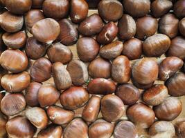 chestnuts food background photo