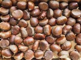 chestnuts food background photo