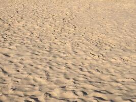 marrón arena textura antecedentes foto