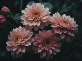 beautiful vibrant botanical photo