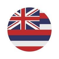 Hawaii state flag on white background vector