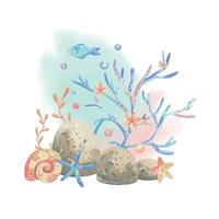 Sea corals, algae, shells, starfish, fish, bubbles. Watercolor illustration hand drawn in coral, turquoise and blue colors. Composition isolated from the background vector