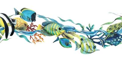 Various, bright fish with algae, corals, sea sponges. Watercolor illustration. Seamless border from the collection of TROPICAL FISH. For decoration and design of wallpaper, invitations, posters vector